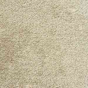 Ковролин Зартекс Sense Highlights (Soft carpet) Sense Highlights 053 мокрый песок фото  | FLOORDEALER